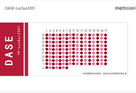 从病理切片到精准医疗:揭秘组织芯片的核心价值_组织芯片网