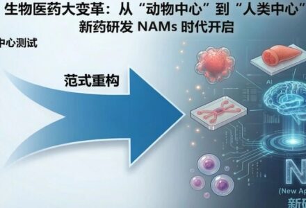 Cell|重磅综述!类器官/器官芯片领衔,新药研发迎来“人类中心”颠覆性革命_组织芯片网