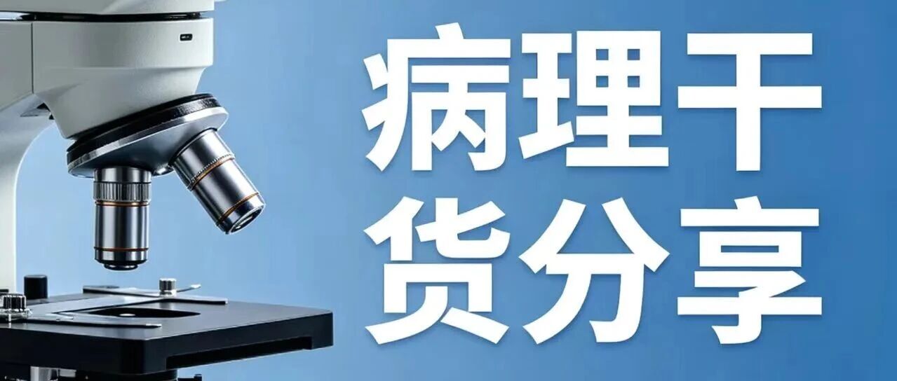 严把病理质控，免疫病理规范化操作全梳理_组织芯片网