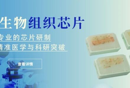 媛禧生物组织芯片：一张芯片，解锁生命科学全场景应用_组织芯片网