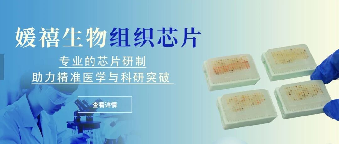 媛禧生物组织芯片：一张芯片，解锁生命科学全场景应用_组织芯片网