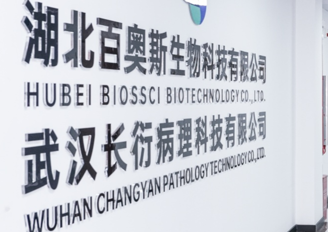 湖北百奥斯生物科技有限公司_组织芯片网